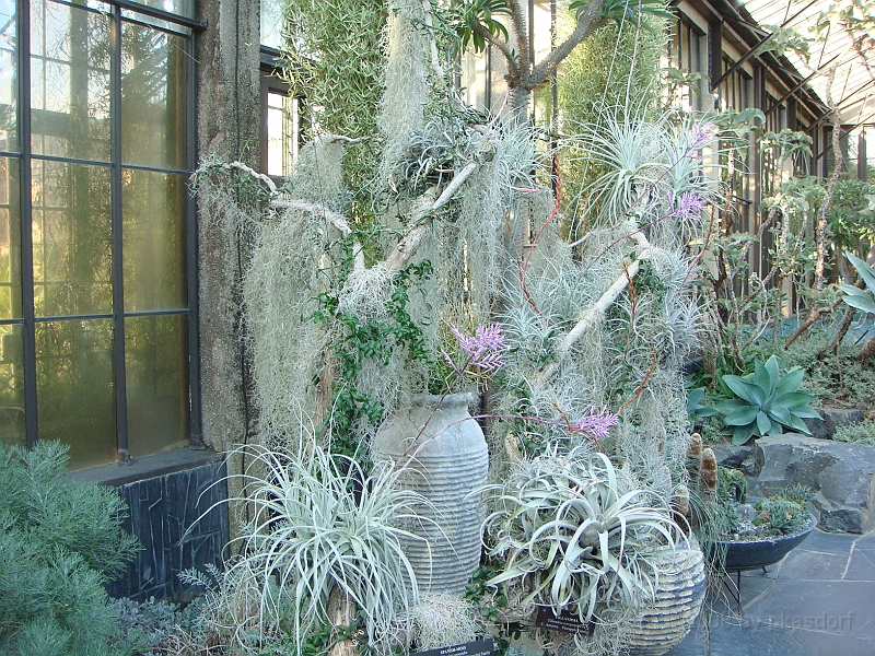 408 Longwood Gardens [2008 August 23].JPG - Longwood Gardens in Pennsylvania